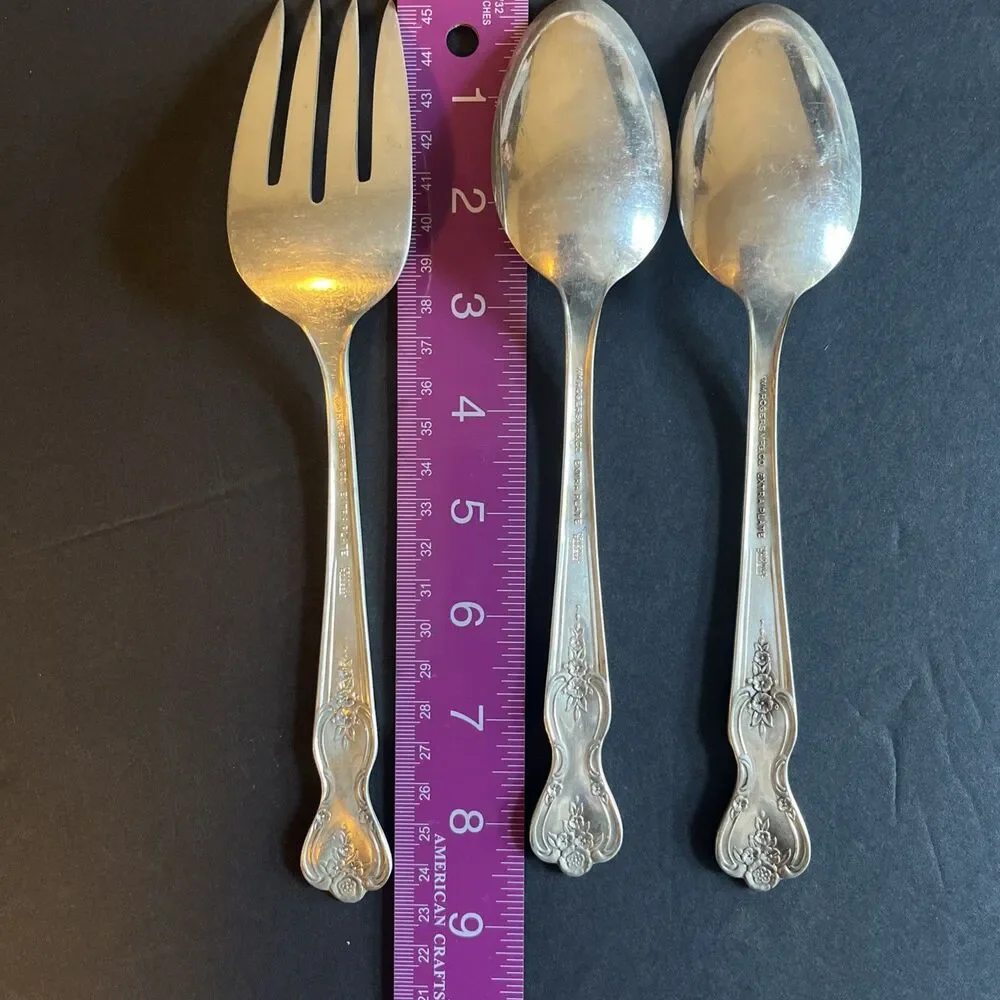 Wm Rogers Mfg Co Extra Plate Original Rogers Magnolia 9